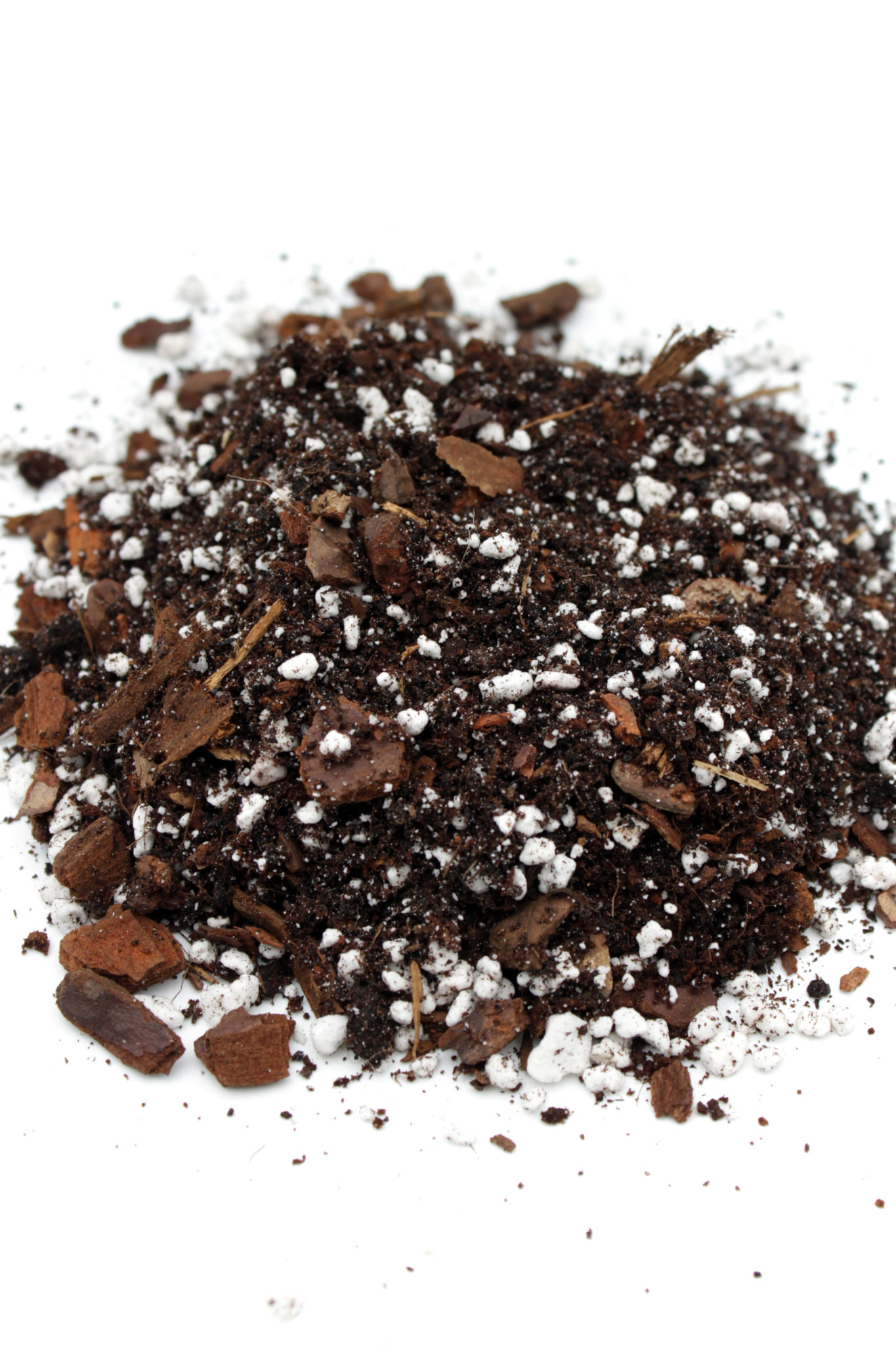 Philodendron Monstera Erde Spezialsubstrat 10L Insane Habitats