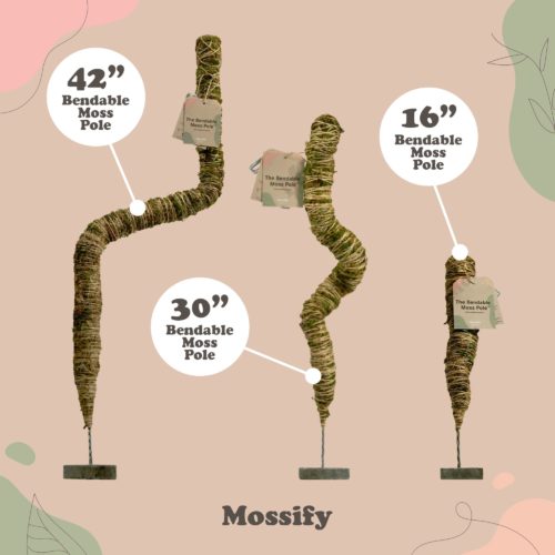 Moss Pole Mossify